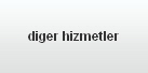 diger hizmetler