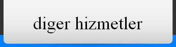 diger hizmetler